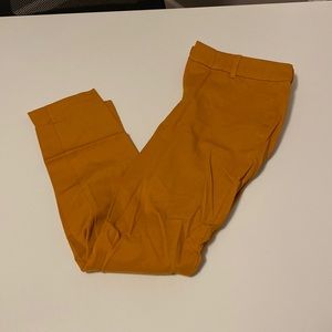 Old navy ankle pixie pant size 6 never worn